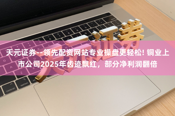 天元证券--领先配资网站专业操盘更轻松! 铜业上市公司2025年齿迹飘红，部分净利润翻倍