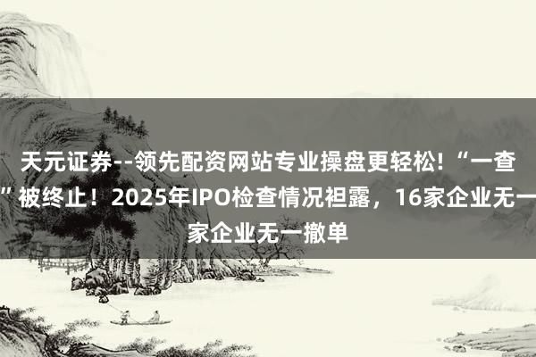 天元证券--领先配资网站专业操盘更轻松! “一查就撤”被终止！2025年IPO检查情况袒露，16家企业无一撤单